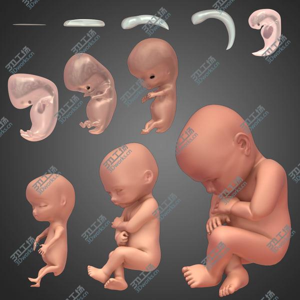 images/goods_img/20210312/Developing Fetus/2.jpg